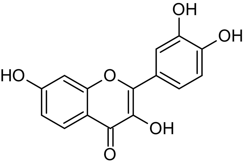 自闭症谱系障碍 (1)