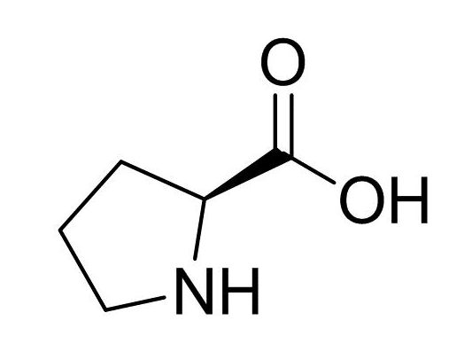 An Essential Amino Acid for Health